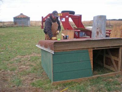 Build a Mulefoot Pig House Image